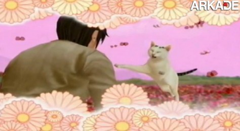 153921-cat[1]