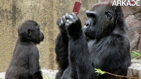 Gorila tenta jogar DSi XL que menino derrubou em viveiro