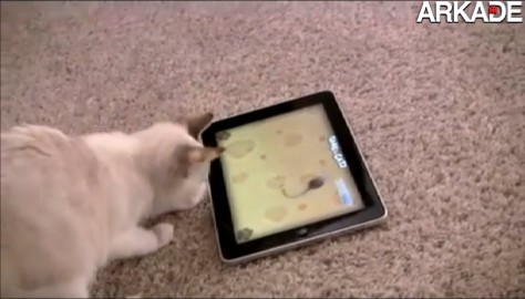 Game for Cats: um jogo exclusivo para gatos no iPad