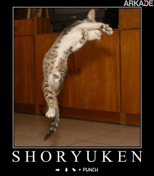 Aprenda a fazer um Shoryuken de mestre com este gato ninja 