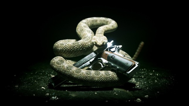 Hitman-Absolution-3