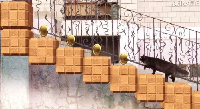 mario cat