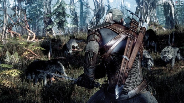 The_Witcher_3_Wild_Hunt_Wolves_1402422294[1]