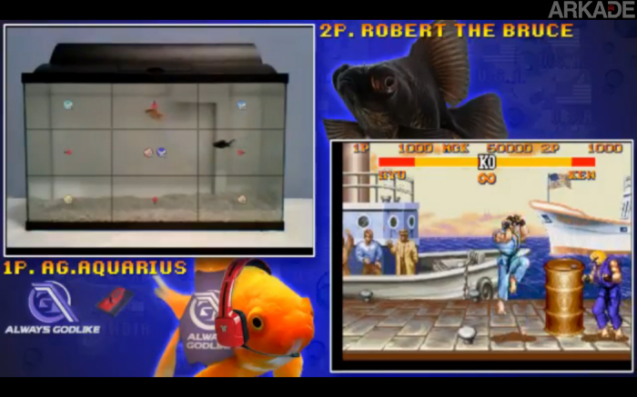 Neste exato momento dois peixes estão jogando Street Fighter 2. Assista ao vivo o "combate"