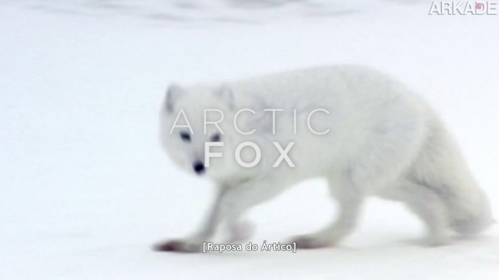 Never Alone_20141118012033