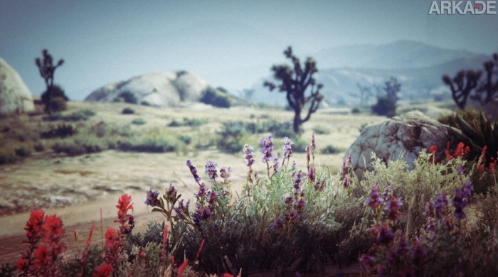 natureza 1 gta_O_Sophi