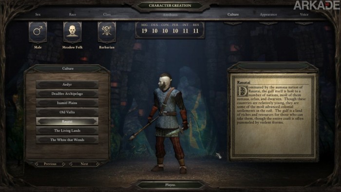 arkade_pillars_of_eternity_analise_09