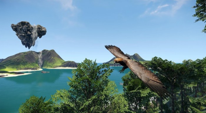 2736638-wander[1]