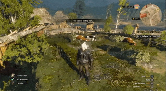 thewitcher
