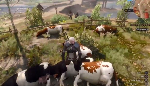 Witcher 3
