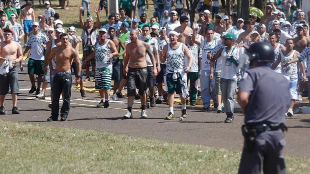torcida