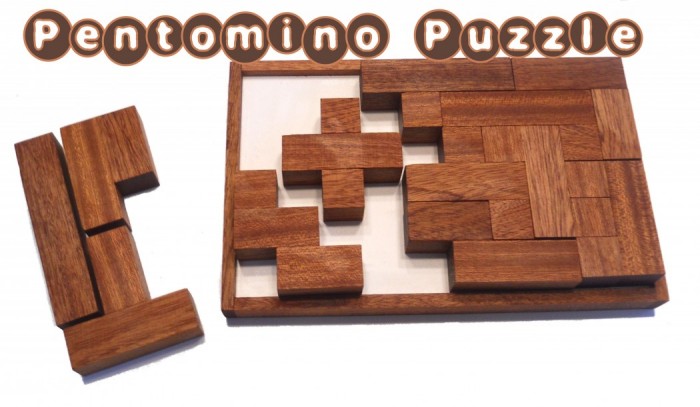 Mahogany-Pentomino-Puzzle-019[1]