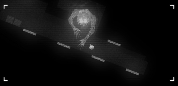 NoctMonster