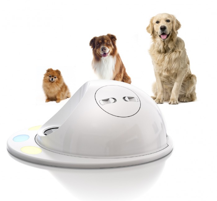 dogswithtoy-1