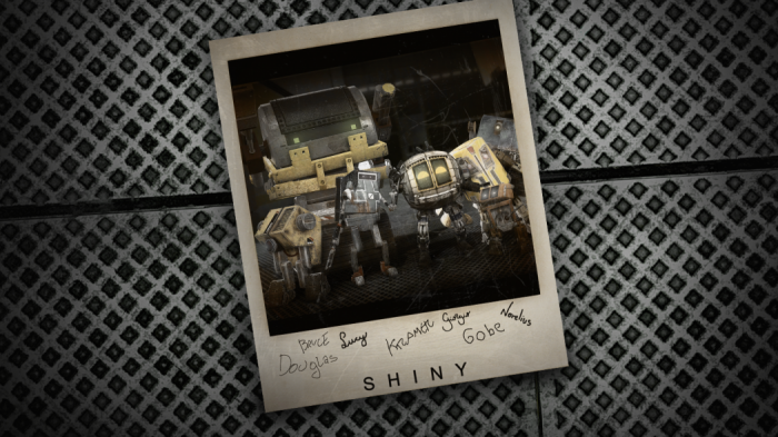 shiny_polaroid[1]