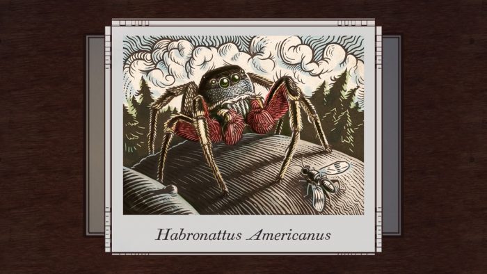 Análise Arkade: A teia de mistérios de Spider: Rite of the Shrouded Moon