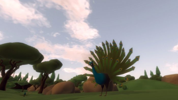 25393674471_a45555793d_b1