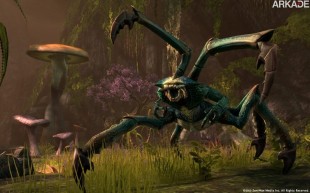 The Elder Scrols Online: confira as primeiras imagens oficiais do game