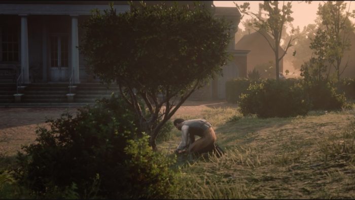 Red Dead Redemption 2