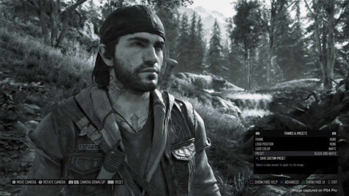 Days Gone